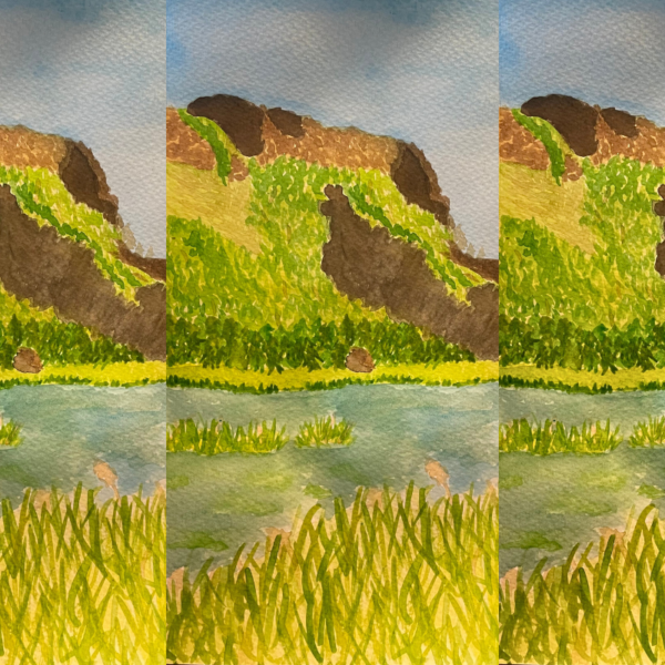 How to Paint a Watercolor Landscape in 5 Easy Steps