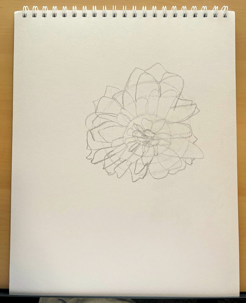 Petal Sketch