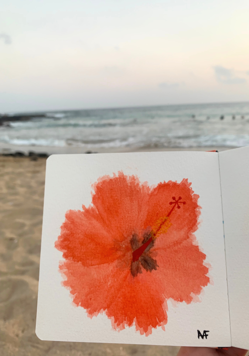 hibiscus flowers watercolor painting
