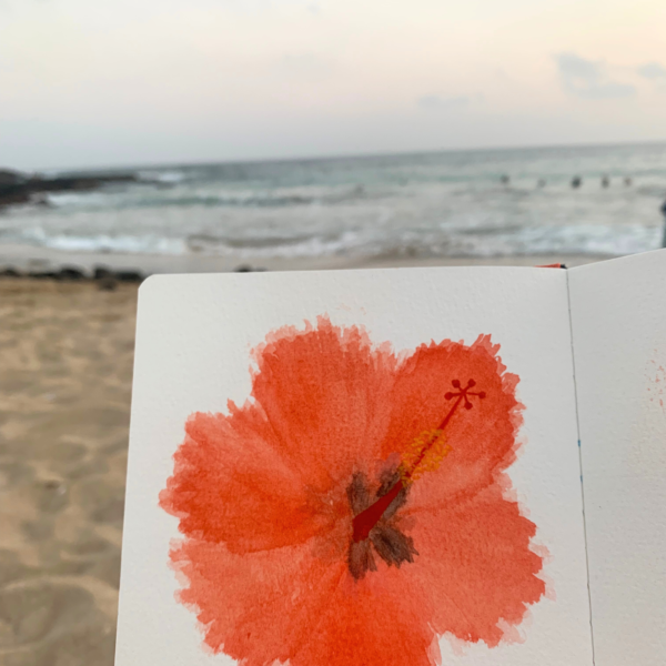 5 Gorgeous Watercolor Flowers Easy Ideas
