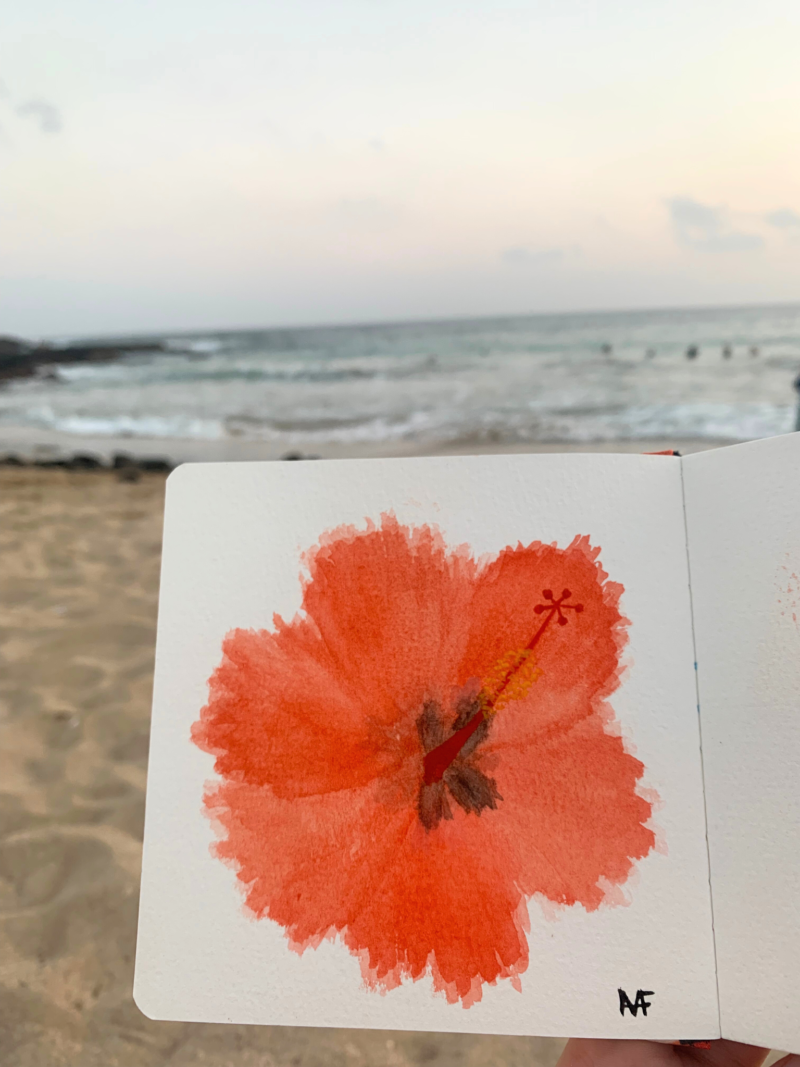 hibiscus flowers watercolor painting