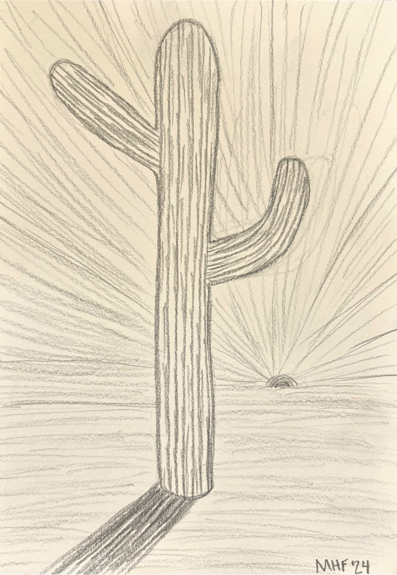 Cactus Drawing