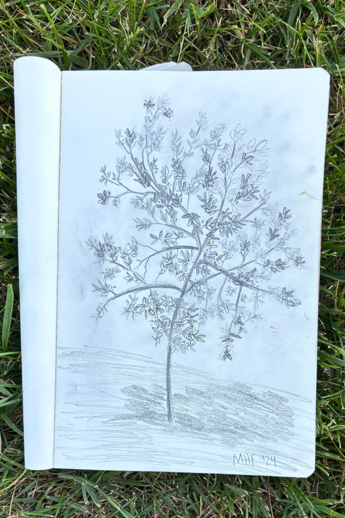 Tree Drawing with Shading