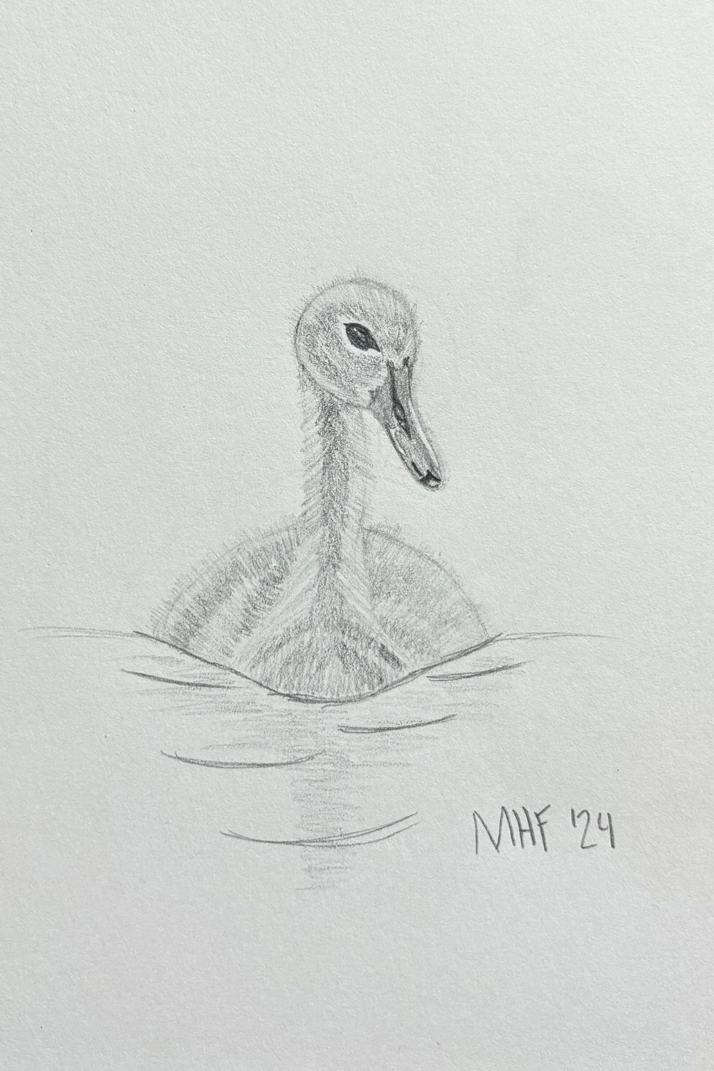 Basic Shading Animals Sample 5+ Pencil Shading Art: A Beginner's Guide