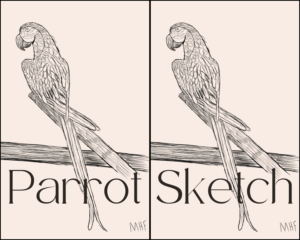 Parrot Sketch header