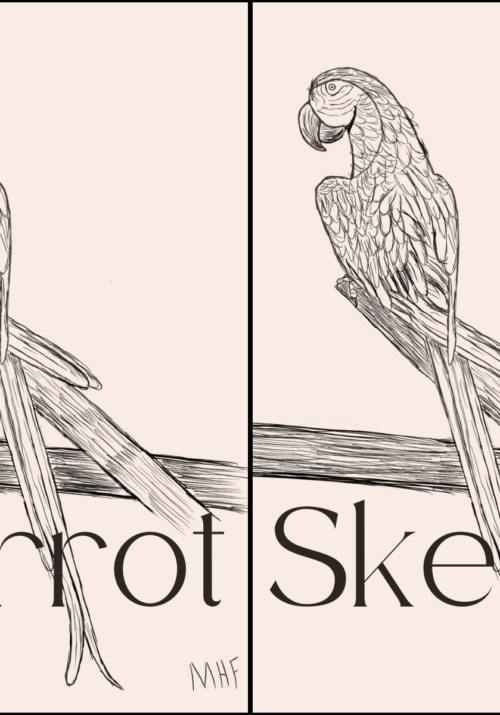 Parrot Sketch header