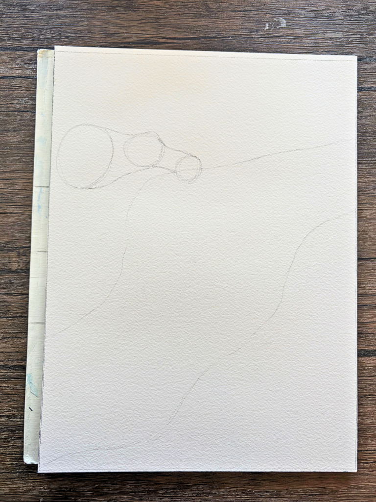 Step by Step Drawing Animals